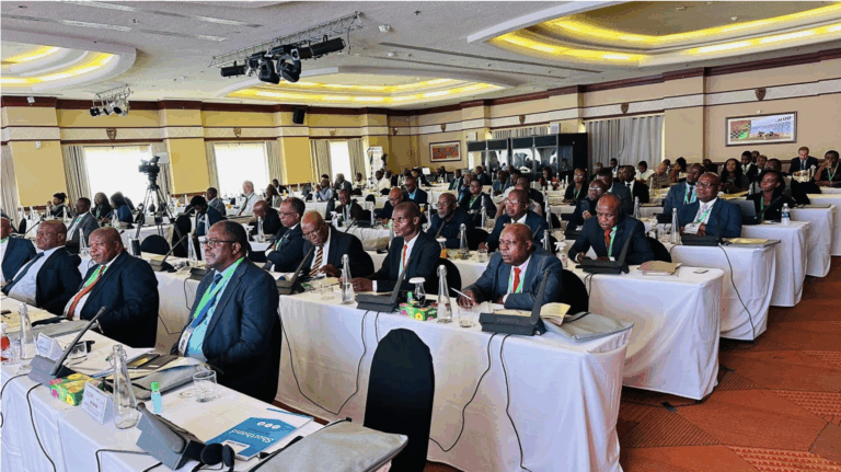 ELECTIONS AND THE RULE OF LAW IN AFRICA - Report of the AEJN 2024 Annual Conference